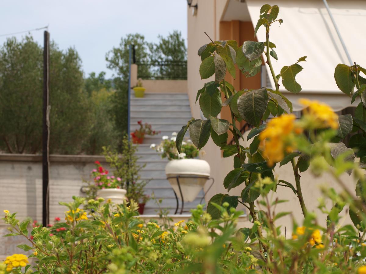 Aristotelis Apartments Razáta Oda fotoğraf